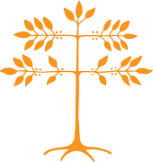 saffron-coffee-tree-180-io